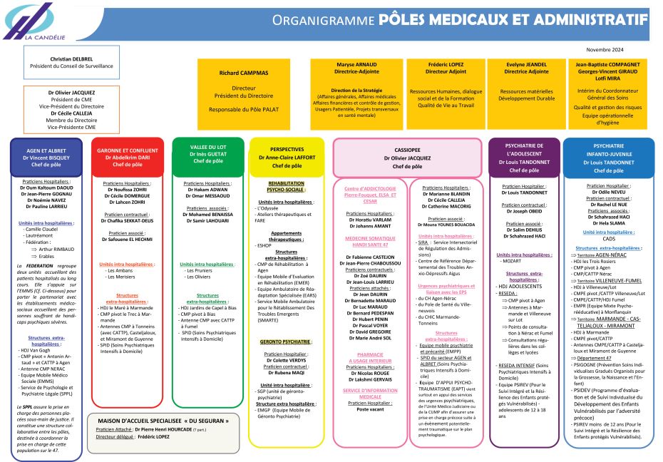 Organigramme des pôles médicaux novembre 2024