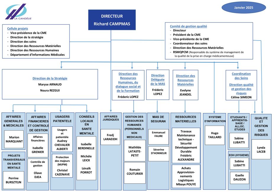Organigramme direction janvier 2025